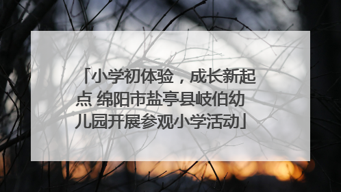 小学初体验，成长新起点 绵阳市盐亭县岐伯幼儿园开展参观小学活动